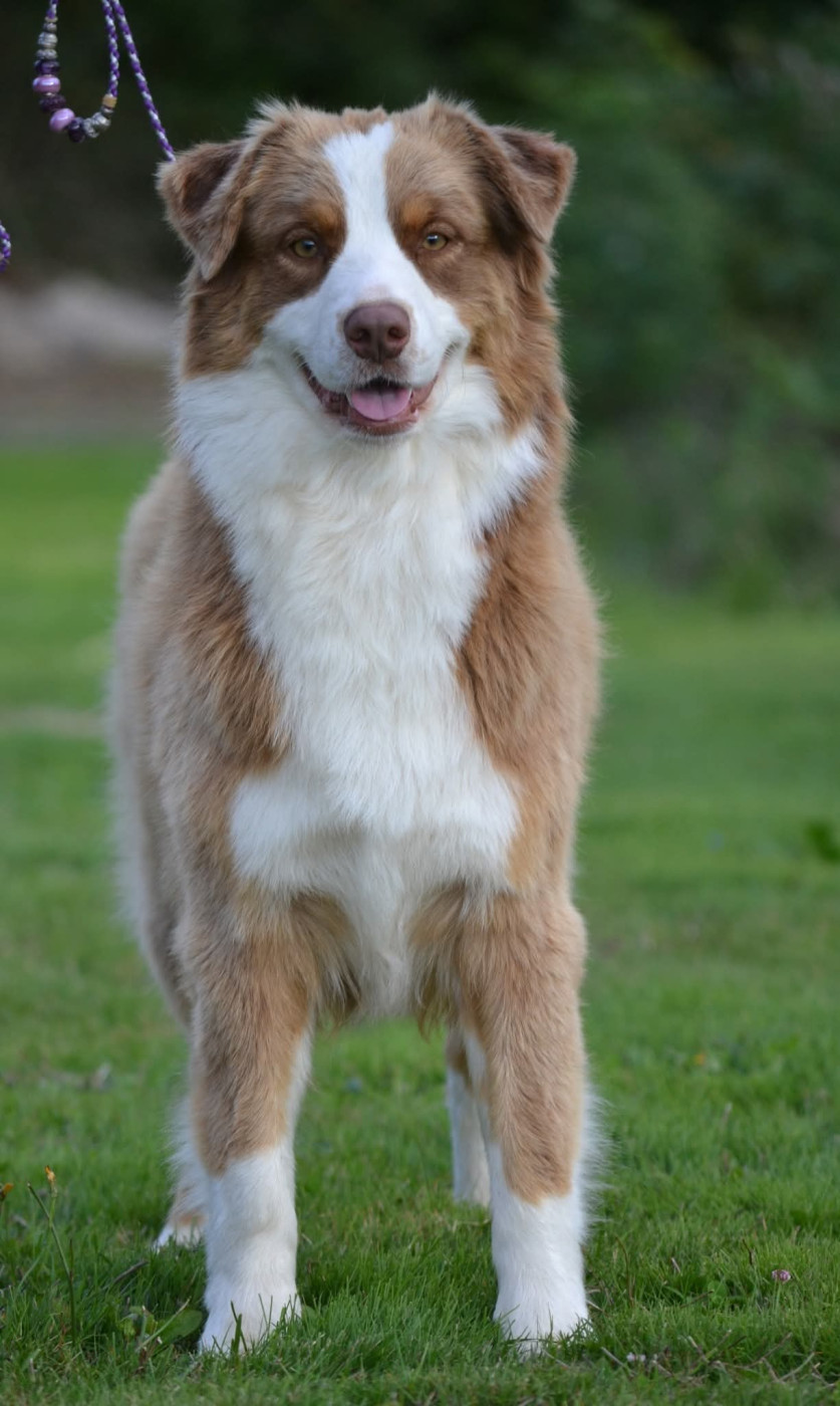 des Wani - Yanpi - Des bb fin avril 2026.....