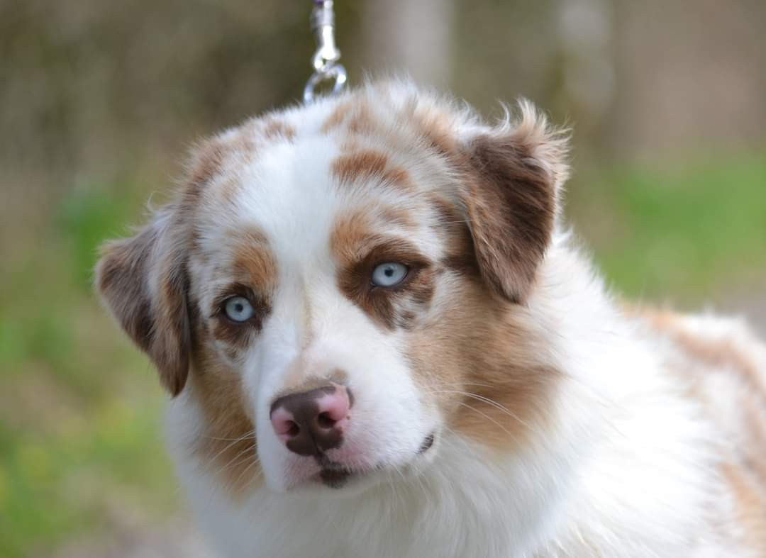 Des bb fin avril 2026.....